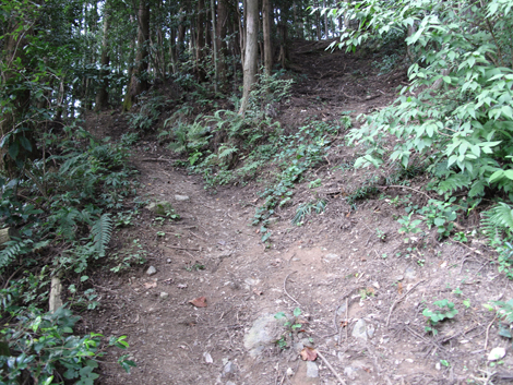 20161007hike (184)